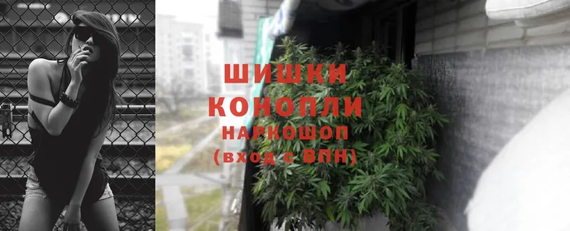 наркота  Малая Вишера  Бошки Шишки OG Kush 